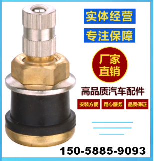 廠家直銷補胎工具 汽車輪胎無內胎防爆優質銅芯氣門嘴 TR575