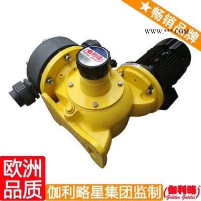北京伽利略計量泵 活塞計量泵 大型計量泵 吳