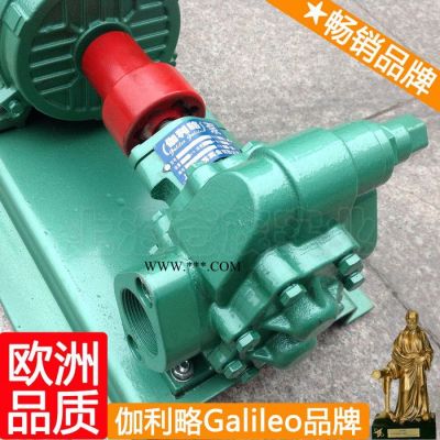 外潤滑齒輪泵 電動齒輪油泵 活塞式輸油泵 吳