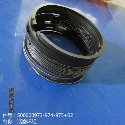 供應徐工機械上柴發動機配件S00000973/974/975+02活塞環組