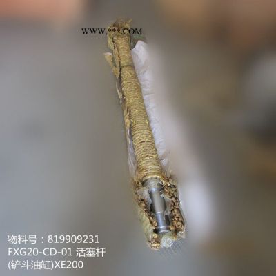 徐工XE200挖掘機配件819909231 FXG20-CD-01 活塞桿(鏟斗油缸)