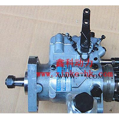 專業調校約翰迪爾柴油發動機油泵，強鹿柴油機燃油泵RE69791
