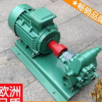 液壓泵齒輪油泵 kcb83.3不銹鋼齒輪泵 齒輪式機(jī)油泵 良