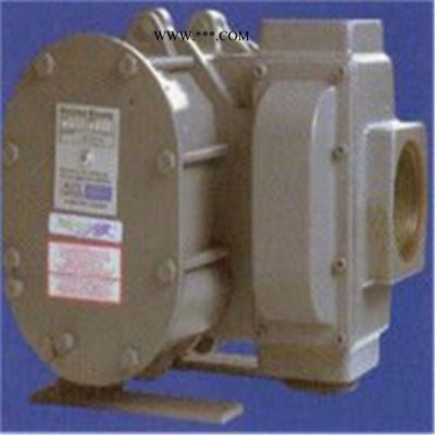 美國ROOTS鼓風機