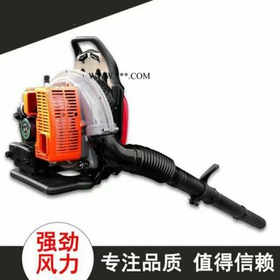 背負(fù)式汽油吹風(fēng)機(jī)多用途吹塵鼓風(fēng)機(jī) 吹雪機(jī)價格