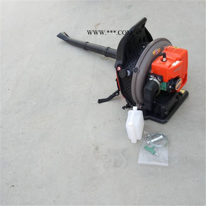 大棚吹雪機(jī)馬路鼓風(fēng)機(jī) 啟航大棚吹雪機(jī) 樹葉清理機(jī)圖片