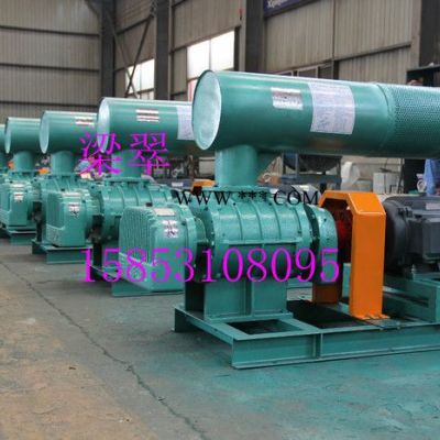 鼓風機特殊氣體風機 特殊氣體鼓風機 特殊氣體羅茨風機 特殊氣體羅茨鼓風機