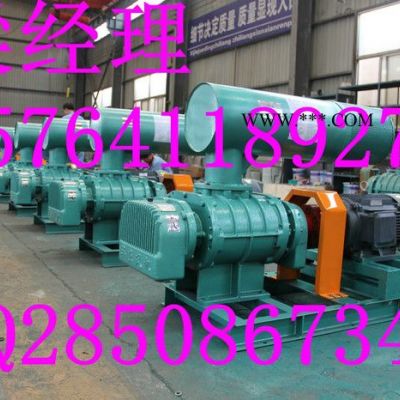 鼓風機專業生產羅茨鼓風機 羅茨風機 三葉羅茨鼓風機 三葉羅茨風機