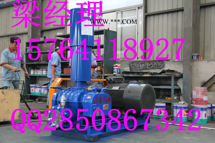 鼓風(fēng)機(jī)雙極高壓風(fēng)機(jī) 雙極高壓鼓風(fēng)機(jī) 雙極高壓羅茨風(fēng)機(jī) 雙極高壓羅茨鼓風(fēng)機(jī)