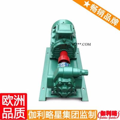 齒輪式電動油泵 上海齒輪油泵 齒輪油泵壓力 隋