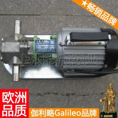 wcb-30齒輪油泵 北京微型齒輪泵 手提式齒輪油泵 晉