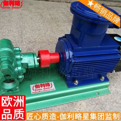 cb-0.8齒輪油bbg型內嚙合擺線bb-b汽油輸油齒輪泵