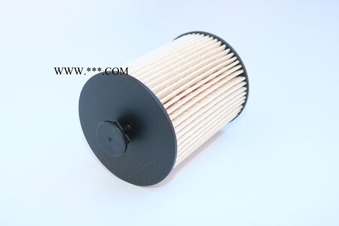 清河涵駿 歐潔環保機油濾清器FS19925