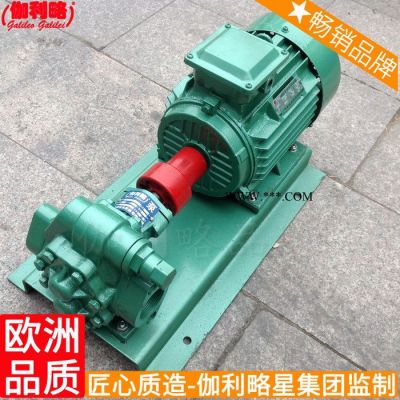 加油站輸油2cg高溫20加香加料2cy3/10機油機電計量齒輪泵