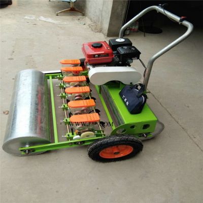 蔬菜芥菜精播機(jī)    拖拉機(jī)油菜精播機(jī) 精播機(jī)價(jià)格