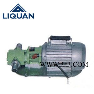 供應上海黎全WCB型齒輪油泵