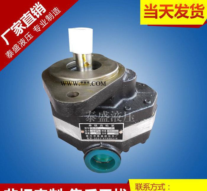 直銷CB-FA10單級(jí)高壓齒輪油泵 CB-FC10單級(jí)高壓齒