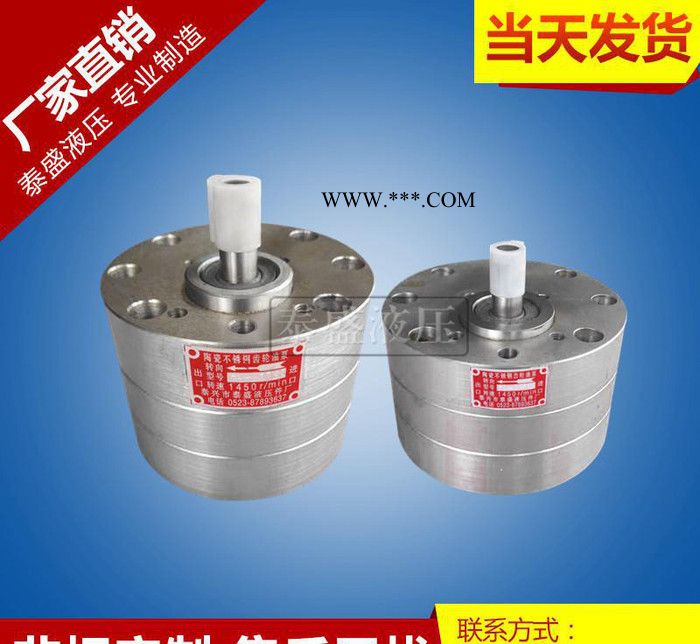 強(qiáng)力推薦CB-BNS25不銹鋼耐腐蝕氨水齒輪油泵  不銹鋼氨