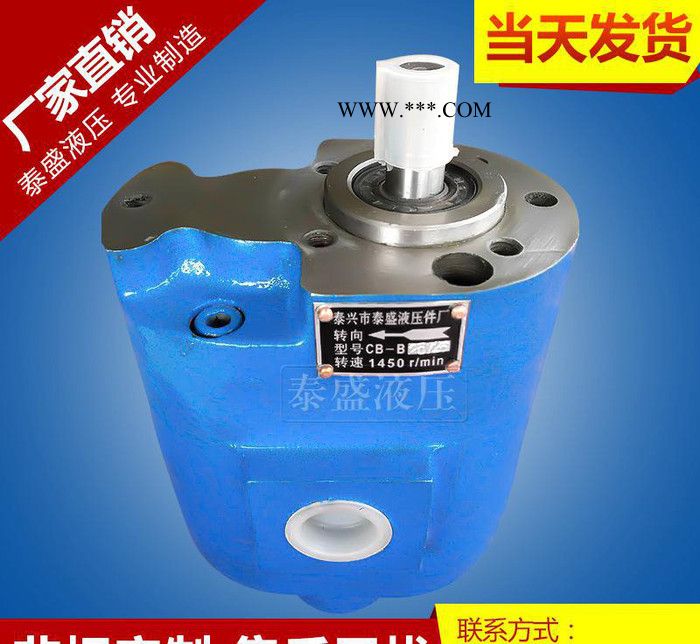 CB-B50齒輪油泵 BM50 B50F耐磨液壓油泵B50T