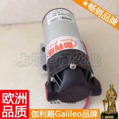 dp洗車泵家用 dp河南高壓泵 dp洗車水槍高壓泵 星捌