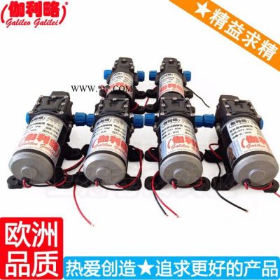 高壓水流洗車泵 自吸泵24v 高壓泵洗車水槍 周