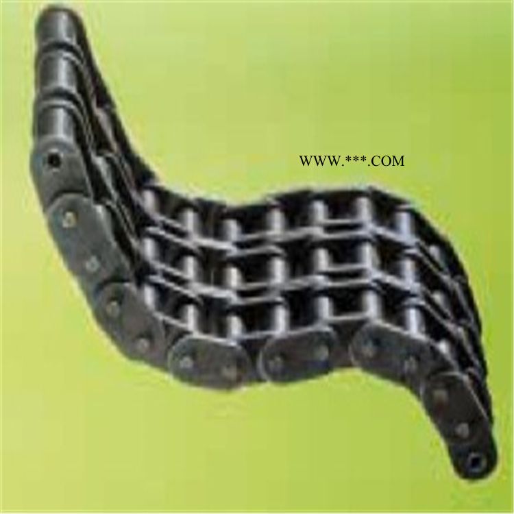 意大利REGINA動力傳動鏈