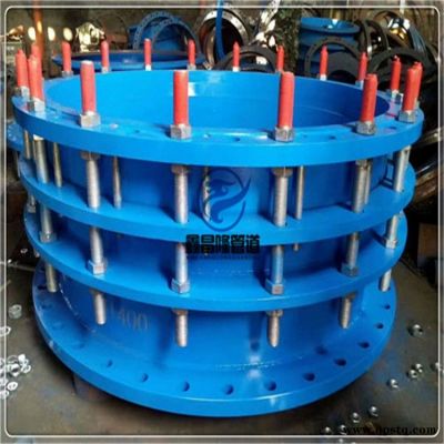 不銹鋼可拆卸頭   可拆式雙法蘭傳力接頭