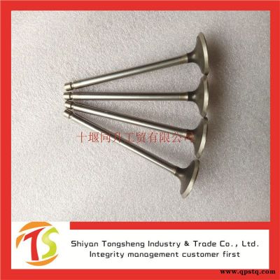 柴油機(jī)發(fā)動機(jī)排氣門 康明斯6L發(fā)動機(jī)零配件