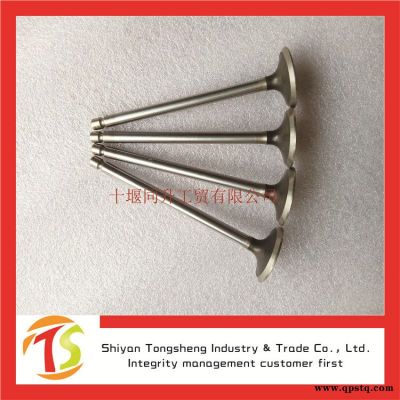 康明斯發動機排氣門ISL發動機配件C4981795