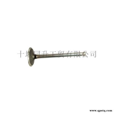 進口康明斯ISC8.3發動機進氣門3924492