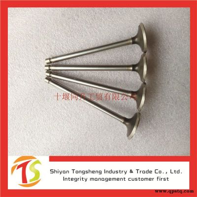 康明斯6L系列發(fā)動機總成配件進氣門C5307875