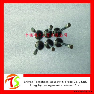 康明斯發(fā)動機總成ISDe進氣閥3802924進氣門