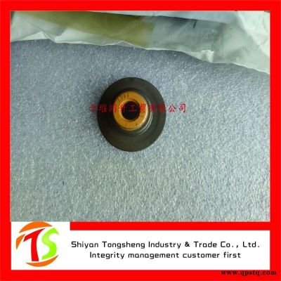 康明斯6缸電控歐三發動機氣門油封3955393