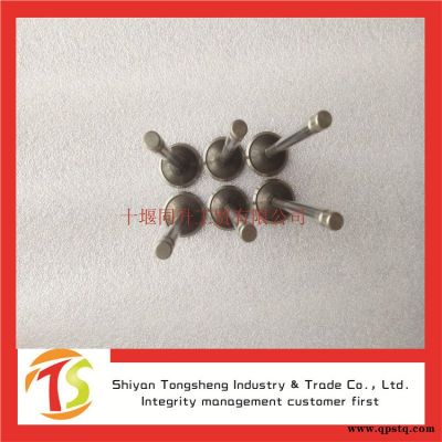 東風康明斯6BT柴油發(fā)動機排氣門C3901117