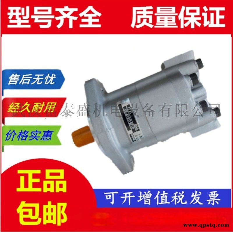 【G5-25-12-1E13R-20-L】齒輪油泵