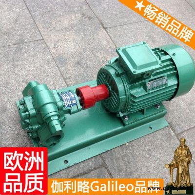 bbg輸油泵 高溫油泵 汽車水泵齒輪 楚