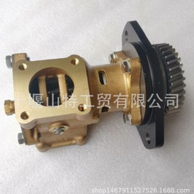 供應(yīng)康明斯QSC8.3美國船機(jī)海水泵5265996